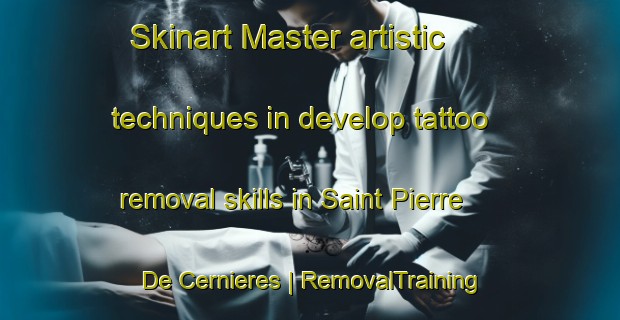 Skinart Master artistic techniques in develop tattoo removal skills in Saint Pierre De Cernieres | RemovalTraining | RemovalClasses | SkinartTraining-France